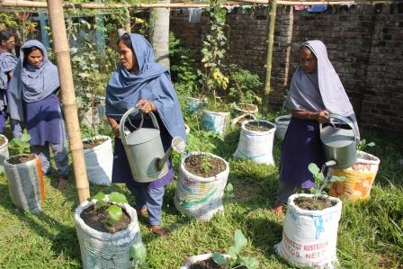 World Soil Day