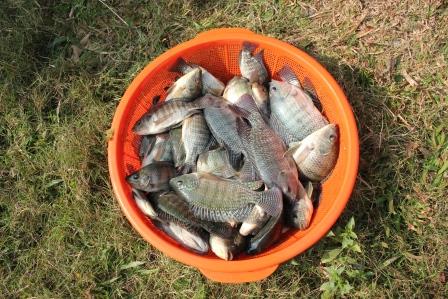 Fishing Month