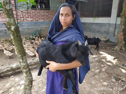 Sustainable Living for Poor Families after COVID-19