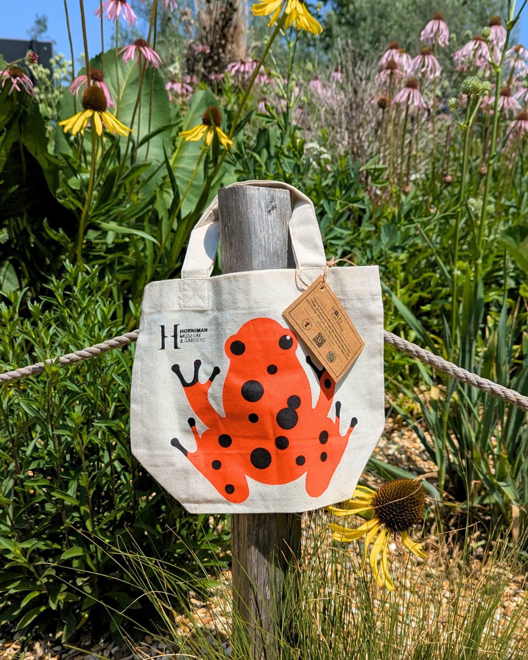 The Frog Worth Carrying